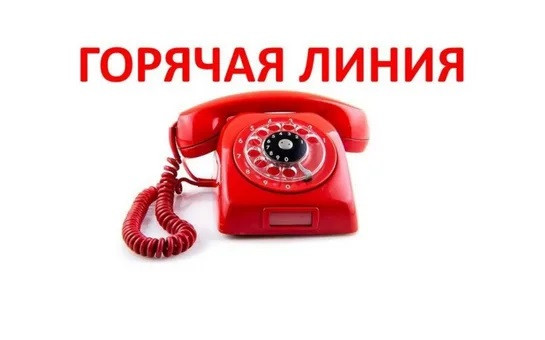 Горячая линия